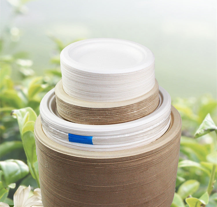 Eco-friendly Thickened Secondary Paper Plate, Barbecue Meal Paper Plate