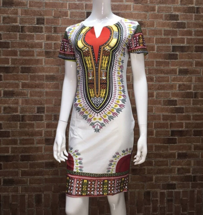 Amazon Ethnic Printed Polyester Ladies Dress