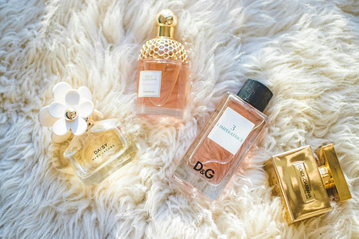 Fragrances - BabynBeauty