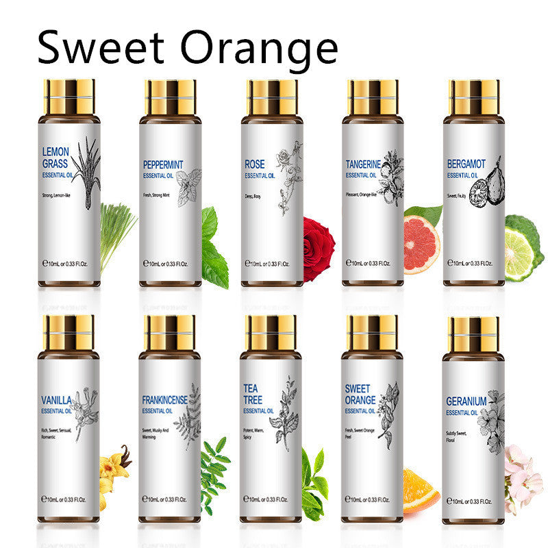 Plant Aromatherapy Essential Oil 10ml Lavender Rose Tea Tree - BabynBeauty