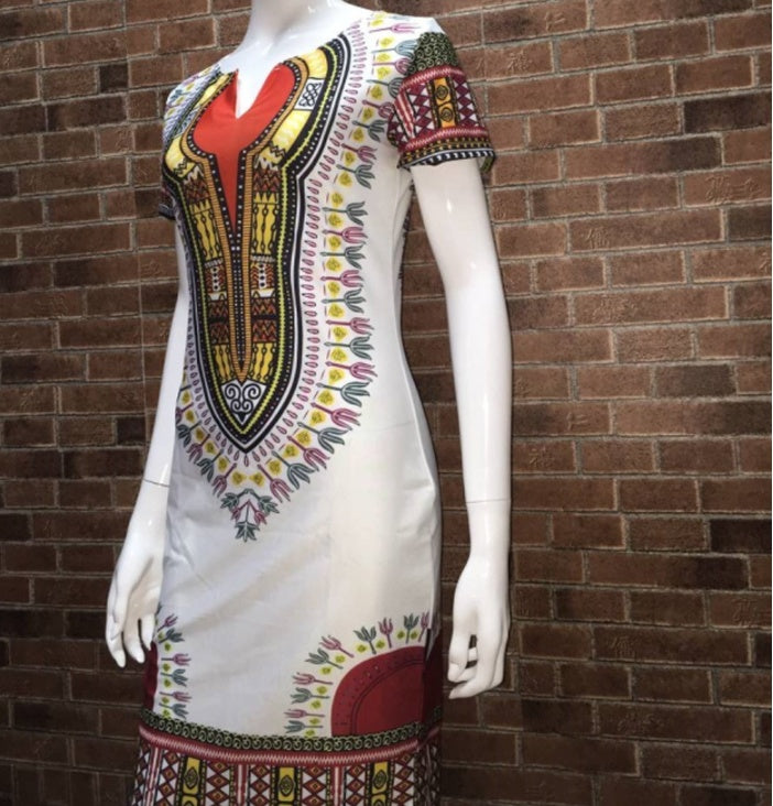 Amazon Ethnic Printed Polyester Ladies Dress