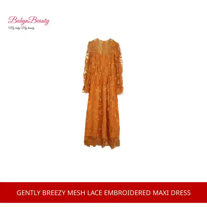 Gently Breezy Mesh Lace Embroidered Maxi Dress by@Outfy